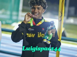 Luigispaez44