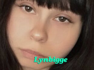 Lynbigge