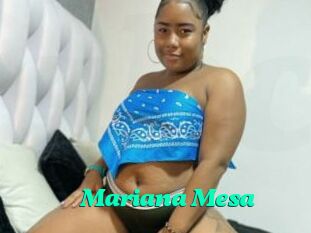 Mariana_Mesa