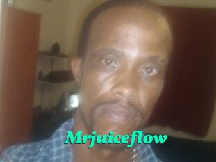 Mrjuiceflow