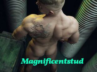 Magnificentstud
