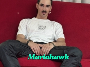 Mariohawk