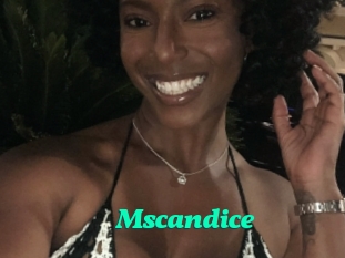 Mscandice