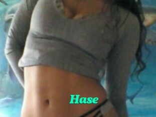 Hase