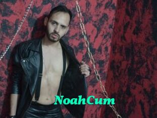 NoahCum