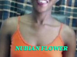 _NUBIAN_FLOWER_