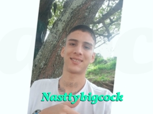 Nasttybigcock