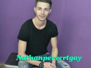 Nathanpervertgay