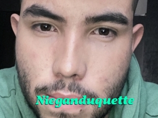 Nieganduquette