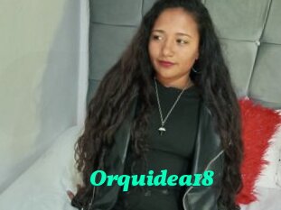 Orquidea18