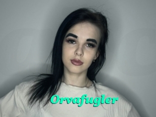 Orvafugler