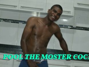 POOL_THE_MOSTER_COCK