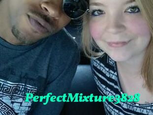 PerfectMixture3828