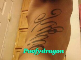 Poofydragon