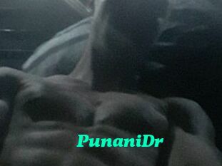PunaniDr