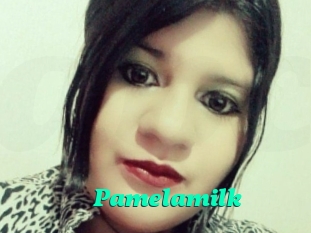 Pamelasuite