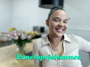 Penelopejohannes