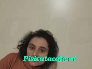 Pisicutacalient