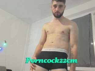 Porncock22cm
