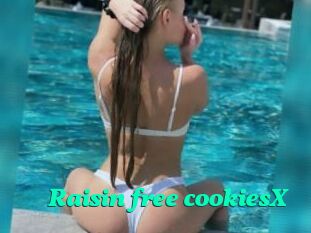 Raisin_free_cookiesX