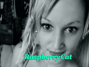 RaspberryCat