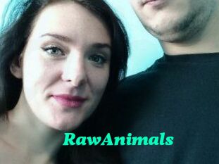RawAnimals
