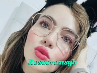 Roseevansgb