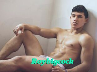 Roybigcock