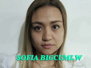 SOFIA_BIGCUMLW