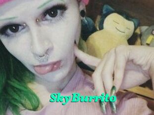 SkyBurrito