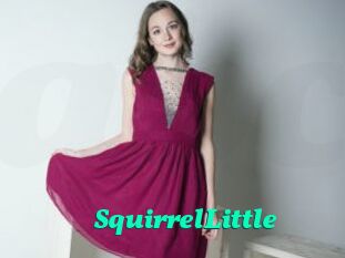 SquirrelLittle