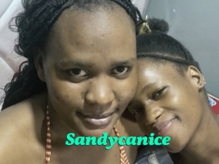 Sandycanice