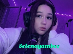 Selenagambee
