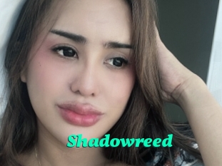 Shadowreed