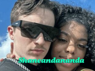 Shaneandananda