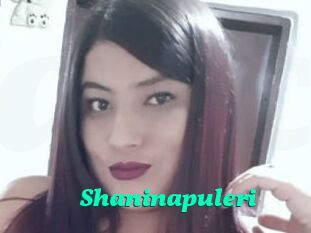 Shaninapuleri
