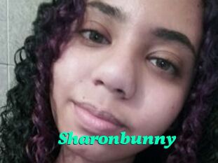 Sharonbunny