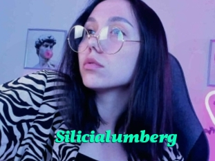 Silicialumberg