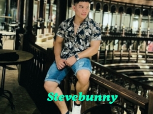 Stevebunny