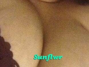 Sunflwr