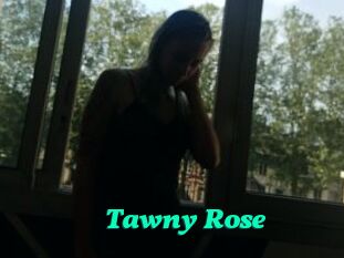 Tawny_Rose
