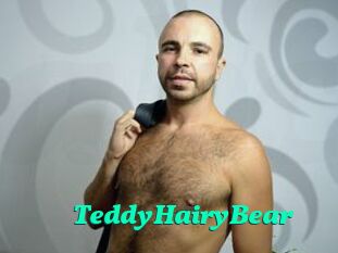TeddyHairyBear
