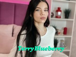 TerryBlueberry