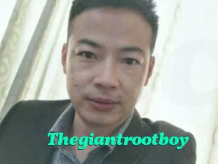 Thegiantrootboy