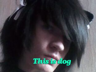 This_is_dog