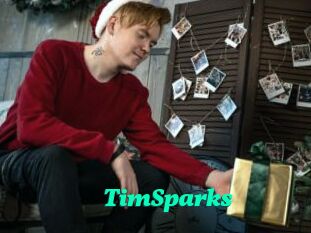 TimSparks