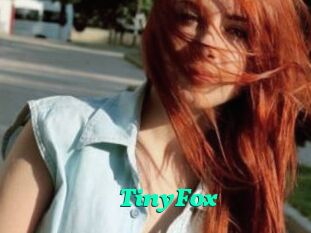 TinyFox