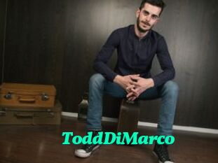 ToddDiMarco