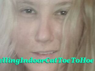 TravellingIndoorCatToeToHoe