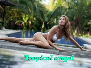 Tropical_angel